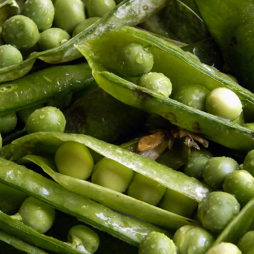 Green Bean Health Benefits